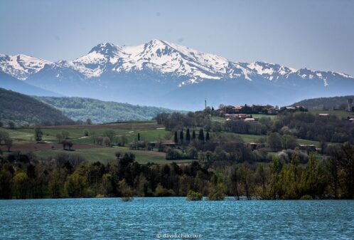 Lac de Montbel en hiver